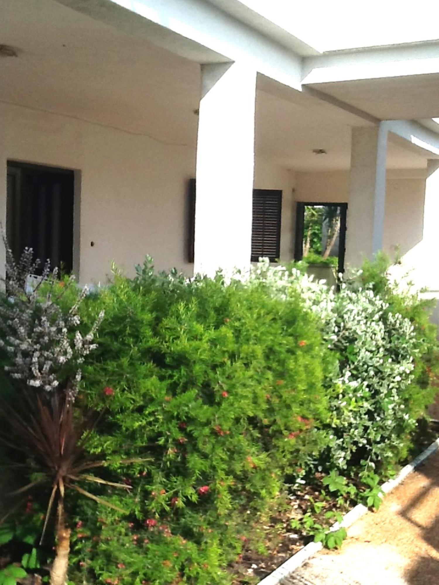 Villa Tamaris On The Beach Podstrana Exterior photo