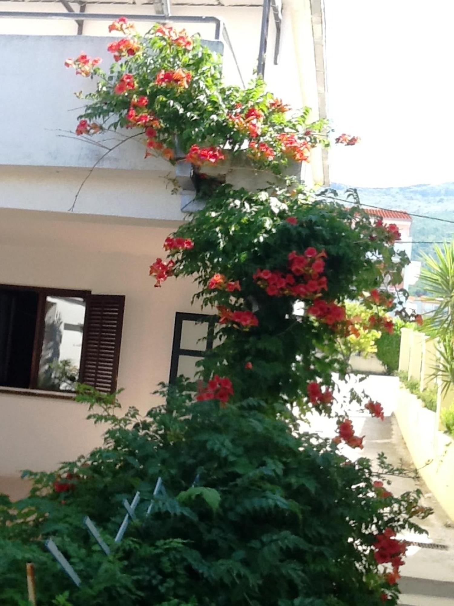 Villa Tamaris On The Beach Podstrana Room photo